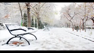 استوری روز برفی / کلیپ زمستانی زیبا