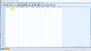 وارد کردن داده در SPSS