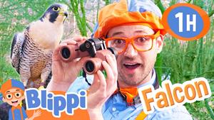 کارتون بلیپی - Blippi با یک شاهین ملاقات می کند