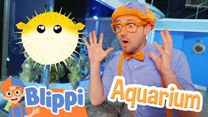 Blippi با یک ماهی پف دار در آکواریوم ملاقات می کند! 