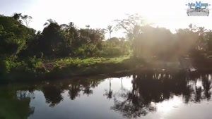 دهکده JAW JAW - کشور سورینام