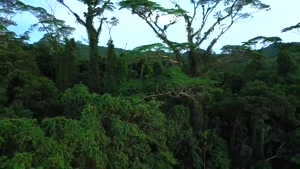 آبشار NGARDMAU - کشور پالائو