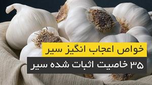 خواص سیر و تاثیرات اعجاب انگیز سیر بر بدن انسان