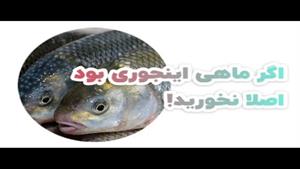 اگر ماهی این شکلی بود نخور