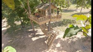 تزیین خانه بامبوی بزرگ در جنگل