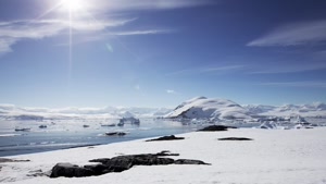 Everything about Antarctica 