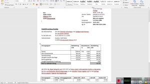 GERMANY WAVWASSER UTILITY BILL TEMPLATE IN WORD AND PDF FORM