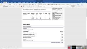 ISRAEL ELECTRIC CORPORATION UTILITY BILL TEMPLATE
