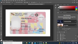 MARYLAND DRIVER LICENSE PSD TEMPLATE