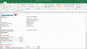 USA BANK OF AMERICA BANK STATEMENT TEMPLATE IN EXCEL AND PDF