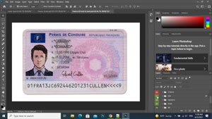 FRANCE DRIVER LICENSE PSD TEMPLATE