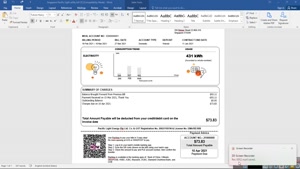 SINGAPORE PACIFIC LIGHT ELECTRICITY UTILITY BILL TEMPLATE IN
