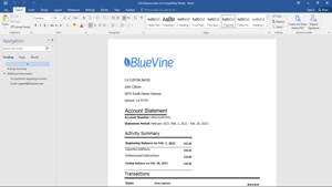 USA CALIFORNIA BLUEVINE BANK STATEMENT TEMPLATE