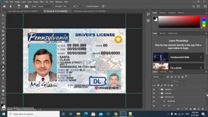 drivers license  psd template
