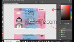  France residence permit | france id card psd template free