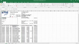 PHILIPPINES PNB BANK STATEMENT TEMPLATE 