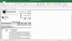 USA WOODFOREST BANK STATEMENT EXCEL AND PDF TEMPLATE, 3 PAGE