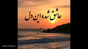 دانلود کلیپ جدید قشنگ برای استوری