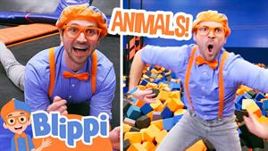 کارتون بلیپی - Blippi در پارک ترامپولین سرپوشیده