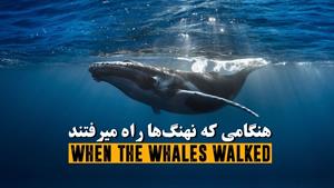 هنگامی که نهنگ ها راه می رفتند 