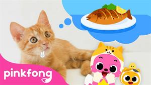 pinkfong baby shark - بیبی شارک - اوه، بچه گربه میگوید میو