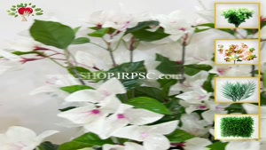 تولید شاخه گل مصنوعی سفید تک بازو با برگ های درجه یک لمسی