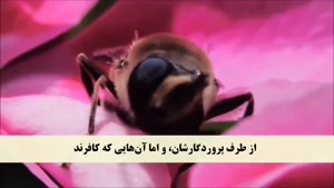 جزء اول ترجمه تفسیری قرآن کریم به زبان فارسی (بخش چهارم)