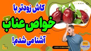 خواص عناب: همه خواص عناب را در 2 دقیقه ببین