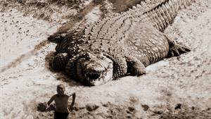 بزرگترین تمساح های جهان