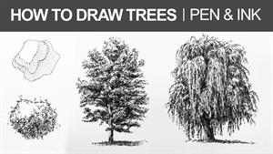 آموزش نقاشی / نحوه ترسیم درختان با قلم و جوهر