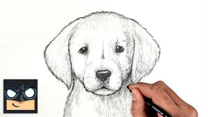 آموزش نقاشی / آموزش نقاشی حیوانات 