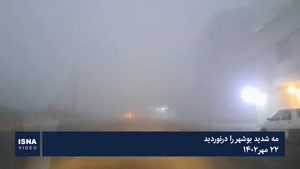بوشهر در مه گم شد