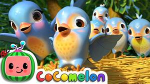 کارتون کوکوملون - پنج پرنده کوچک 