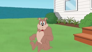 انیمیشن تام و جری / شکار موش 