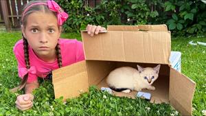 ماجراهای سوفیا و مکس - سوفیا یک بچه گربه کوچک را پیدا کرد