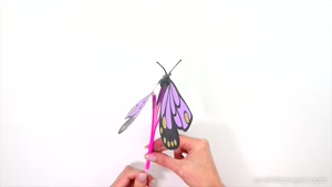 butterfly craft