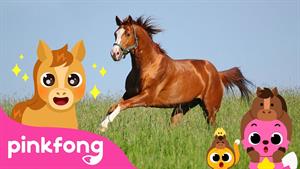 pinkfong baby shark - بیبی شارک - تروت تروت