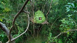 زیباترین خانه درختی را برای زندگی در جنگل