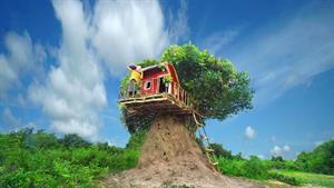  در حال ساخت خانه ای در جنگل در هایلند
