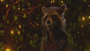 Rocket Raccoon  Somebody Help Me Out