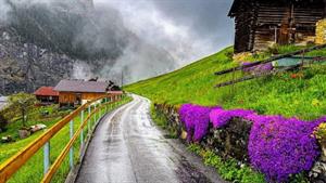 تور زیبای پیاده روی بارانی در گیملوالد 🇨🇭 دهکده سوئیسی