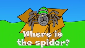 Where is the spider