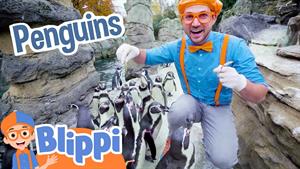 کارتون بلیپی - بازدید Blippi از پنگوئن ها در باغ وحش!