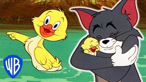 کارتون تام و جری - بهترین جوجه اردک 