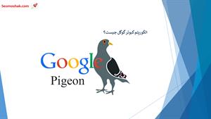 الگوریتم کبوتر گوگل چیست و نحوه بهینه سازی سایت برای آن