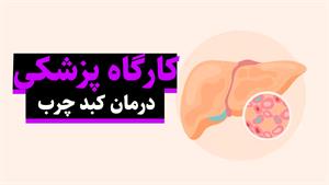 تأثیر رژیم غذایی بر کبد چرب: راهنمایی برای سلامتی کبد