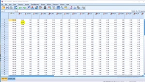 کدگذاری مجدد در SPSS