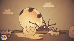 انیمیشن قاصدک ها این قسمت: مورچه عسل