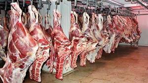 فروش گوشت قرمز زیر قیمت بازار