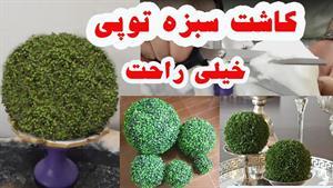 آموزش کاشت سبزه توپی برای هفت سین / سبزه عید توپی 